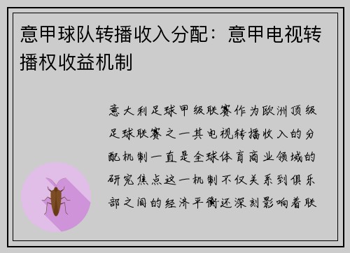 意甲球队转播收入分配：意甲电视转播权收益机制