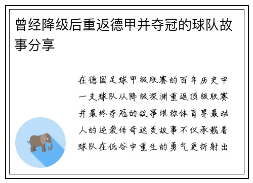 曾经降级后重返德甲并夺冠的球队故事分享