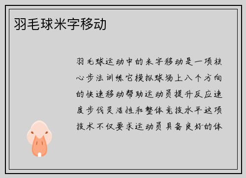 羽毛球米字移动